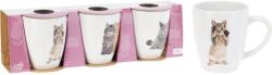 Gastro Cană cu mâner Pisici, set de 3 bucăți, ceramică, capacitate: 0, 22 litri, înălțime: 91 mm
