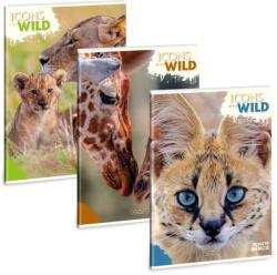 Ars Una Máté Bence Icons of the Wild A/4 extra kapcsos füzet-sima (53804921) - hunrods