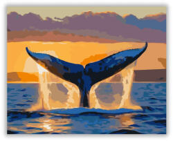  Bálna Farokuszonya Naplementében - számfestő készlet