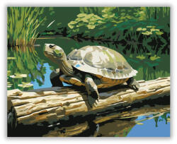  Mosolygó Teknős a Tóban - számfestő készlet