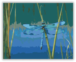  Kék Szitakötő a Nádban - számfestő készlet