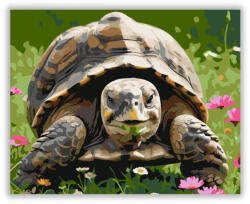  Mosolygó Teknős Vadvirágok Között - számfestő készlet