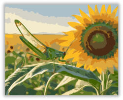  Zöld Szöcske Napraforgón - számfestő készlet