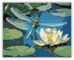  Szitakötő Lótuszvirágon - számfestő készlet