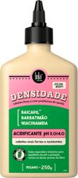 Lola Cosmetics Balsam Tratament Lola Cosmetics Densidade Acidificante 250ml (76155)