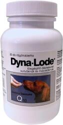  Dyna-Lode tabletta idősödő kutyák és macskák részére (2 x 50 db) 100 db