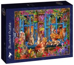 Bluebird Puzzle 1000 db-os puzzle - Window Shelf Cats (90973) (90973)