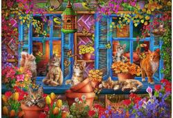 Bluebird Puzzle 90973 - Window Shelf Cats - 1000 db-os puzzle (90973)