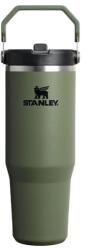 STANLEY IceFlow Flip Straw Tumbler, 0.89L, Dried Pine - 10-12043-077 (10-12043-077)