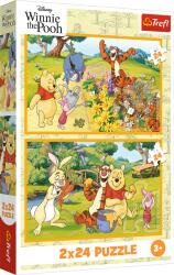 Trefl - Puzzle 2x24 Winnie: Day in the Garden - 1 - 39 piese