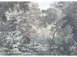 Komar Fototapet vlies Komar R4-060 Fairytale Forest 400x280 cm (R4-060)