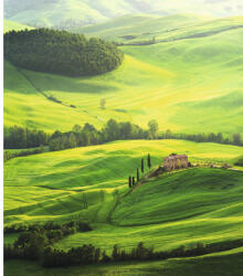 Special Decoration Fototapet vlies Special Decoration Toscana 4 243x280 cm (HRBP300023)