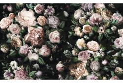 Komar Fototapet vlies P6035A-VD4 Pure Victoria Black 400x250 cm (P6035A-VD4)