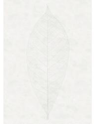 Komar Fototapet vlies Komar R2-012 Decent Leaf 200x280 cm (R2-012)