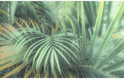 Komar Fototapet vlies Komar PSH107-VD4 Foggy Fern 400x250 cm (PSH107-VD4)
