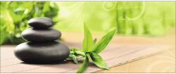 Pure Living Tablou sticlă Pure Living Wellness II 50x125 cm (GLA441O)