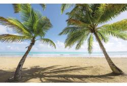 Komar Fototapet vlies Komar SHX9-014 Caribbean Days II 450x280 cm (SHX9-014)