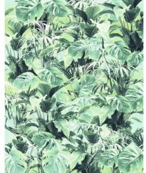 Komar Fototapet vlies Komar P023-VD2 Evergreen 200x250 cm (P023-VD2)