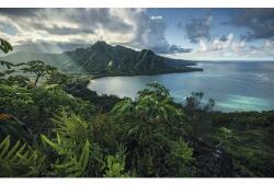Komar Fototapet vlies Komar SHX9-117 Jurassic Island 450x280 cm (SHX9-117)