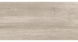 Cesarom Gresie exterior / interior porțelanată glazurată Cesarom Canada maro 30x60 cm (6060-0100-4011)