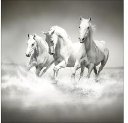 Pure Living Tablou sticlă Pure Living White Horses 30x30 cm (GLA1176A)