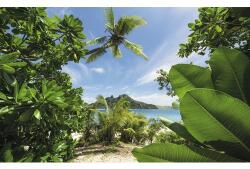 Komar Fototapet vlies Komar SHX9-106 Cast Away Jungle 450x280 cm (SHX9-106)