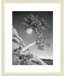 The Wall Ramă foto lemn The Wall Modern crem 24x30 cm (50614)