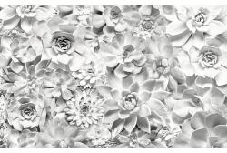 Komar Fototapet vlies Komar P962-VD4 Pure Shades Black and White 400x250 cm (P962-VD4)