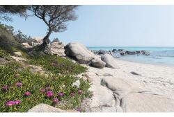 Komar Fototapet vlies Komar SHX9-056 Mediterranean Dreams 450x280 cm (SHX9-056)