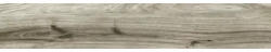 Kai Gresie exterior / interior porțelanată glazurată Braga Grey 15x90 cm (009206KN)