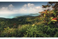 Komar Fototapet vlies Komar SHX9-043 Heavens Balcony 450x280 cm (SHX9-043)