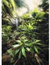Komar Fototapet vlies Komar Spirit 260x200 cm (X4-527)