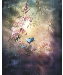 Komar Fototapet vlies Komar 6048A-VD2 Enlightenment 200x250 cm (6048A-VD2)