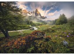 Komar Fototapet vlies Komar SHX8-133 The Last Paradise 400x280 cm (SHX8-133)