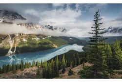 Komar Fototapet vlies Komar SHX9-098 Wonderland Canada 450x280 cm (SHX9-098)