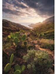 Komar Fototapet vlies Komar SHX4-092 Warm Light 200x280 cm (SHX4-092)