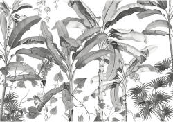 Komar Fototapet vlies Komar INX8-082 Croissances Monochrome 400x280 cm (INX8-082)