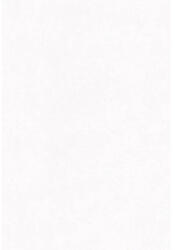 Marburg Tapet special pentru renovare și armare Marburg 9797 Patent Vlies Satin prevopsit 190 g/m2 25x1, 06 m (9797)