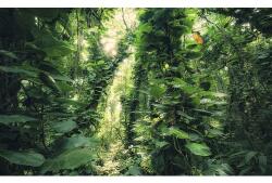 Komar Fototapet vlies Komar SHX9-114 Green Leaves 450x280 cm (SHX9-114)
