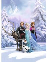 Komar Fototapet hârtie Komar 8-498 Disney Edition 4 Frozen Winter Land 184x254 cm (4-498)