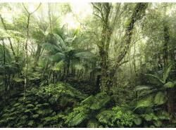 Komar Fototapet vlies Komar X7-1009 Mindfulness 350x250 cm (X7-1009)