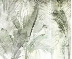 Komar Fototapet vlies Komar IF4-001 Botanical Boho 400x250 cm (IF4-001)