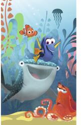 Komar Fototapet vlies Komar DX3-084 Disney Edition 4 Finding Dory Aquarell 150x280 cm (DX3-084)