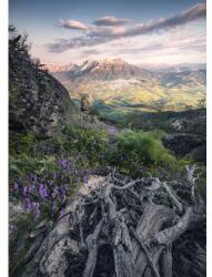 Komar Fototapet vlies Komar SHX4-130 Flowering Tales 200x280 cm (SHX4-130)