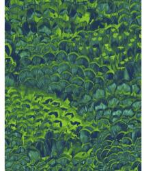 Komar Fototapet vlies Komar P019-VD2 Feathers 200x250 cm (P019-VD2)