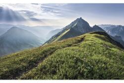 Komar Fototapet vlies Komar PSH093-VD4 Pure Green Vein 400x250 cm (PSH093-VD4)