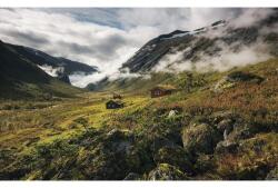 Komar Fototapet vlies SHX9-073 Pure Norway 450x280 cm (SHX9-073)