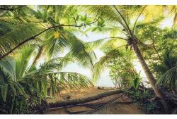 Komar Fototapet vlies Komar SHX9-070 Pirate hide-out 450x280 cm (SHX9-070)