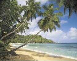 Komar Fototapet hârtie Komar 8-308 Tropical Sea 368x254 cm (8-308)