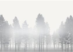 Komar Fototapet vlies Komar RSX8-055 Silver Haze 400x280 cm (RSX8-055)